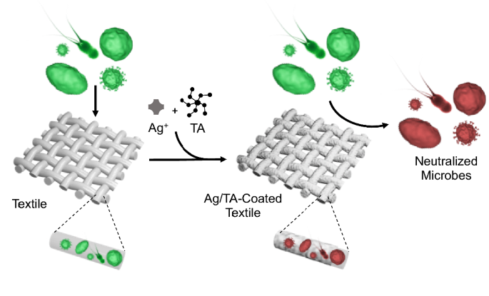 Anti-Microbial & Anti-Odor